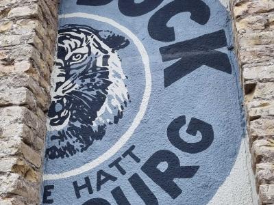 Tigre Bock Hattbourg — Street art à Strasbourg