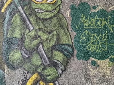 Ninja Turtle Michelangelo in Prague — Street art in Prague