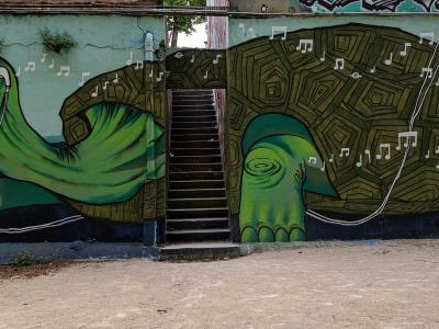 Green Musical Turtles — Street art in Valence