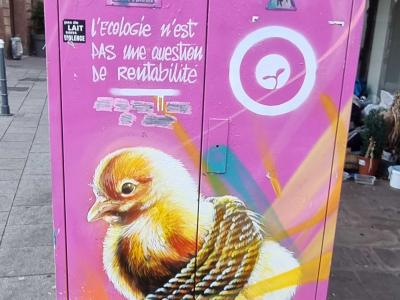 Écologie colorée — Street art de Dan23 à Strasbourg