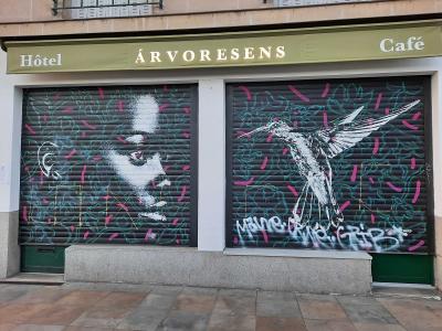 Portrait and hummingbird — Street art in Nantes