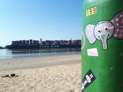 Elitheelephant sunbathing at Elbe River
