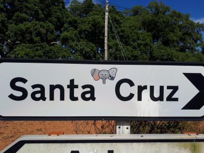 Elitheelephant goes surfing