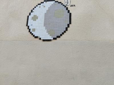 Invader moon and flowers — Street art in Clermont-Ferrand