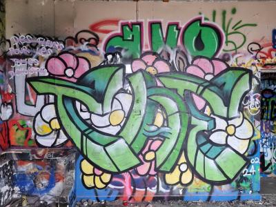 Wildstyle vert aux fleurs roses — Street art à Grenoble