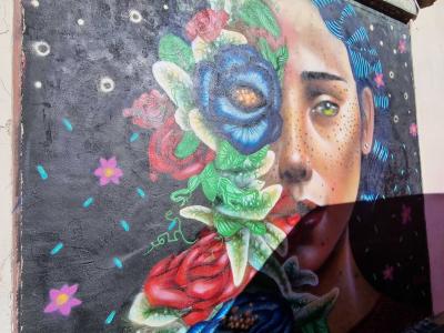 Flower-Covered Face by Lawhite — Street art in Clermont-Ferrand