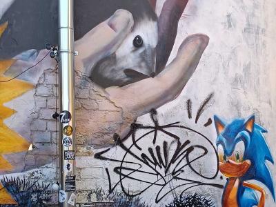 Hedgehog and Sonic on Riga Wall — Street art in Rīga