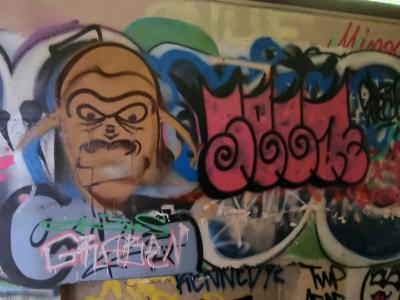 The Monkey and the Pink Lettering — Street art in Grenoble