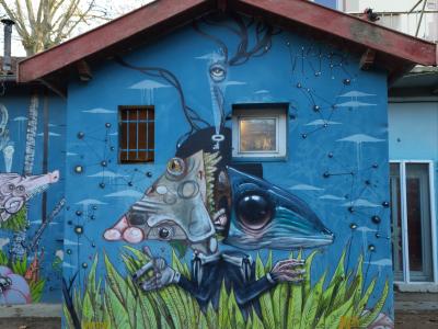 VEKS VAN HILLIK & 100TAUR