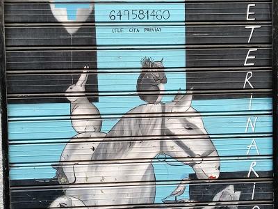 Femme aux Volets Bleus — Street art à Madrid