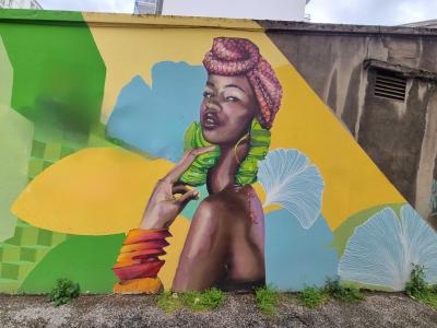 Portrait of a Woman in a Pink Turban — Street art in Grenoble