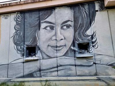 Last Train to Skaville — Street art à Grenoble