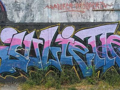 Jasmine et Rajah — hommage Disney — Street art à Redon