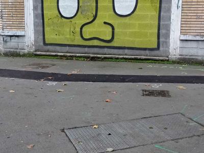 Visage cartoon sur porte de garage — Street art à Lille