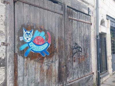 Chat bleu Cats & Freedom