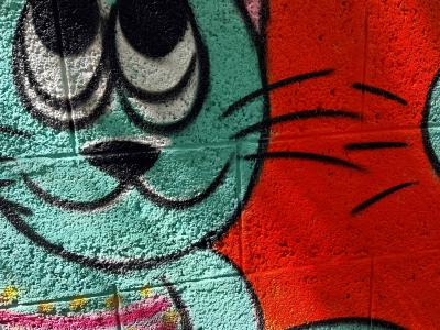 La rencontre de deux chats colorés