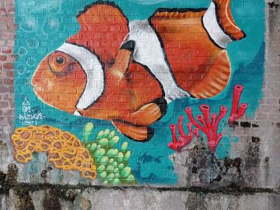Poissons-clowns en récif corallien — Street art à Lille
