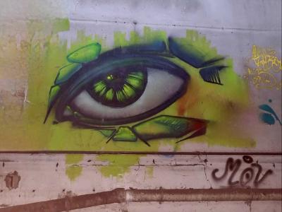 Expressive Yellow-Green Eye — Street art in Grenoble