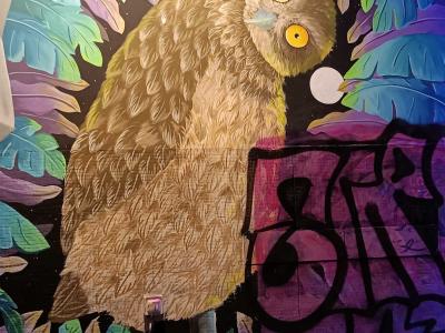 Grande chouette aux feuilles tropicales — Street art à Paris