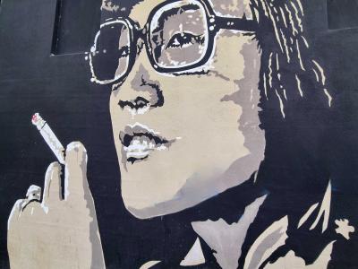 Woman with Glasses — Street art in Grenoble
