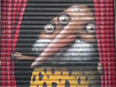 Oiseau rideau Ador — Street art à Nantes