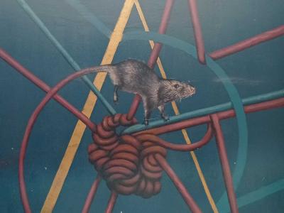 Rat Balancing on Geometric Ropes — Street art in Athina