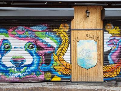 Panda coloré de Newi — Street art de Newi (Julien Berland) à Clermont-Ferrand