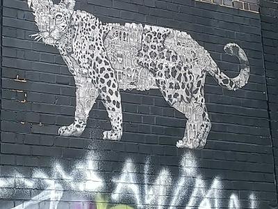 Detailed Cat — Street art by Ardif in London