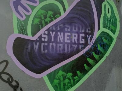Mycelial Synergy Heart — Street art in Porto