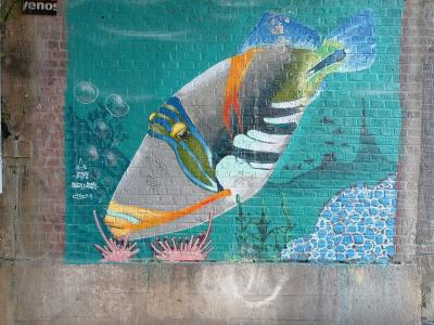Poissons colorés du lagon — Street art à Lille