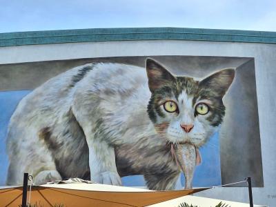 Realistic gray cat — Street art by Giulio Masieri in Caorle