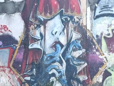 Face with Blue Serpents — Street art in Clermont-Ferrand