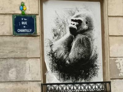 Pensive Gorilla in Black and White — Street art in Paris