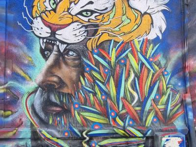 Man with Tiger Mask — Street art in Clermont-Ferrand