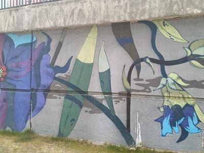 Fleurs Botaniques - Pont — Street art à Prague