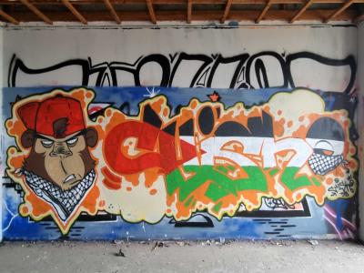 The Monkey with a Keffiyeh — Street art in Grenoble