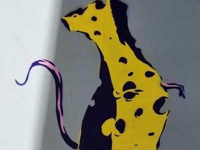 Rat jaune graphique — Street art à Strasbourg