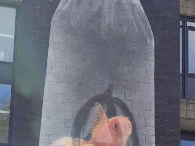 Goldfish Escaping from the Bag — Street art in Aberdeen