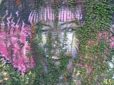 Visage violet envahi par le lierre — Street art à Rennes