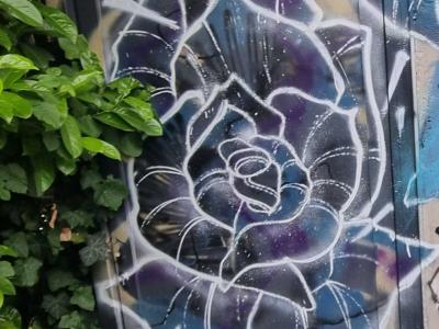 Rose bleu-violet sur fond sombre — Street art à Grenoble