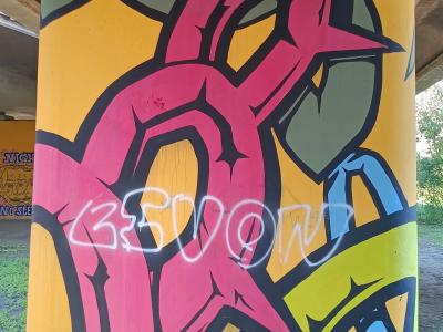 Piece graffiti BSVON rose et jaune — Street art à Rīga