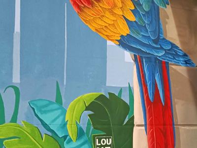 Perroquet ara dans la jungle — Street art à Paris