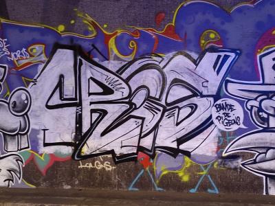 Pigeon Gang Under the Bridge — Street art in Paris