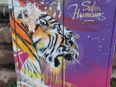Tigre Sales Humains par Dan23 — Street art de Dan23 à Strasbourg