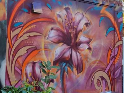 Lys flamboyant par Newi — Street art de Newi (Julien Berland) à Clermont-Ferrand