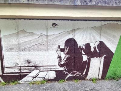 Traveler Photographing Alpine Landscape — Street art in Grenoble