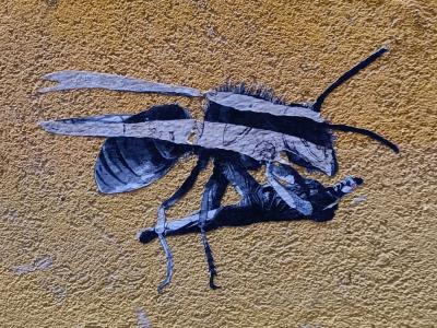 Guêpe noire sur mur ocre — Street art à Porto