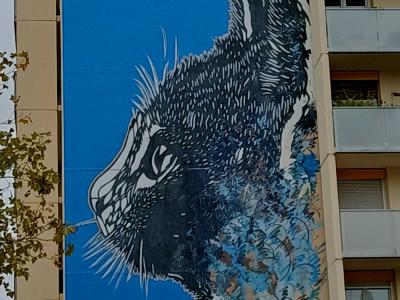 The Cat — Street art by C215 in Paris