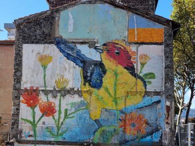 Oiseau tropical colore sur facade — Street art à Clermont-Ferrand