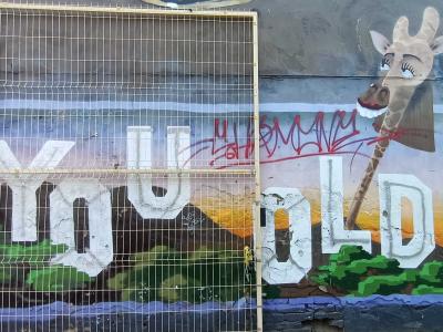 Giraffe with YOU OLD Lettering — Street art in Rīga
